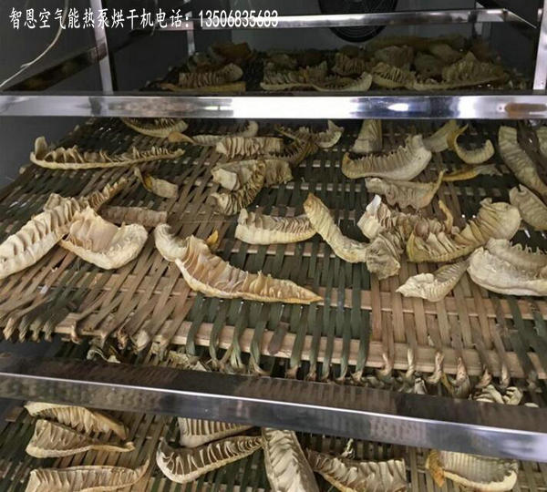 竹筍干燥設(shè)備