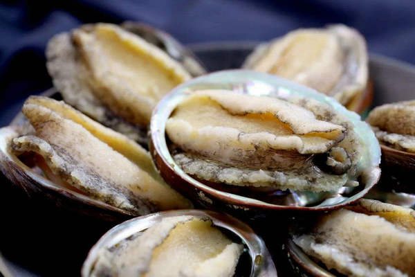 鮑魚(yú)烘干工藝